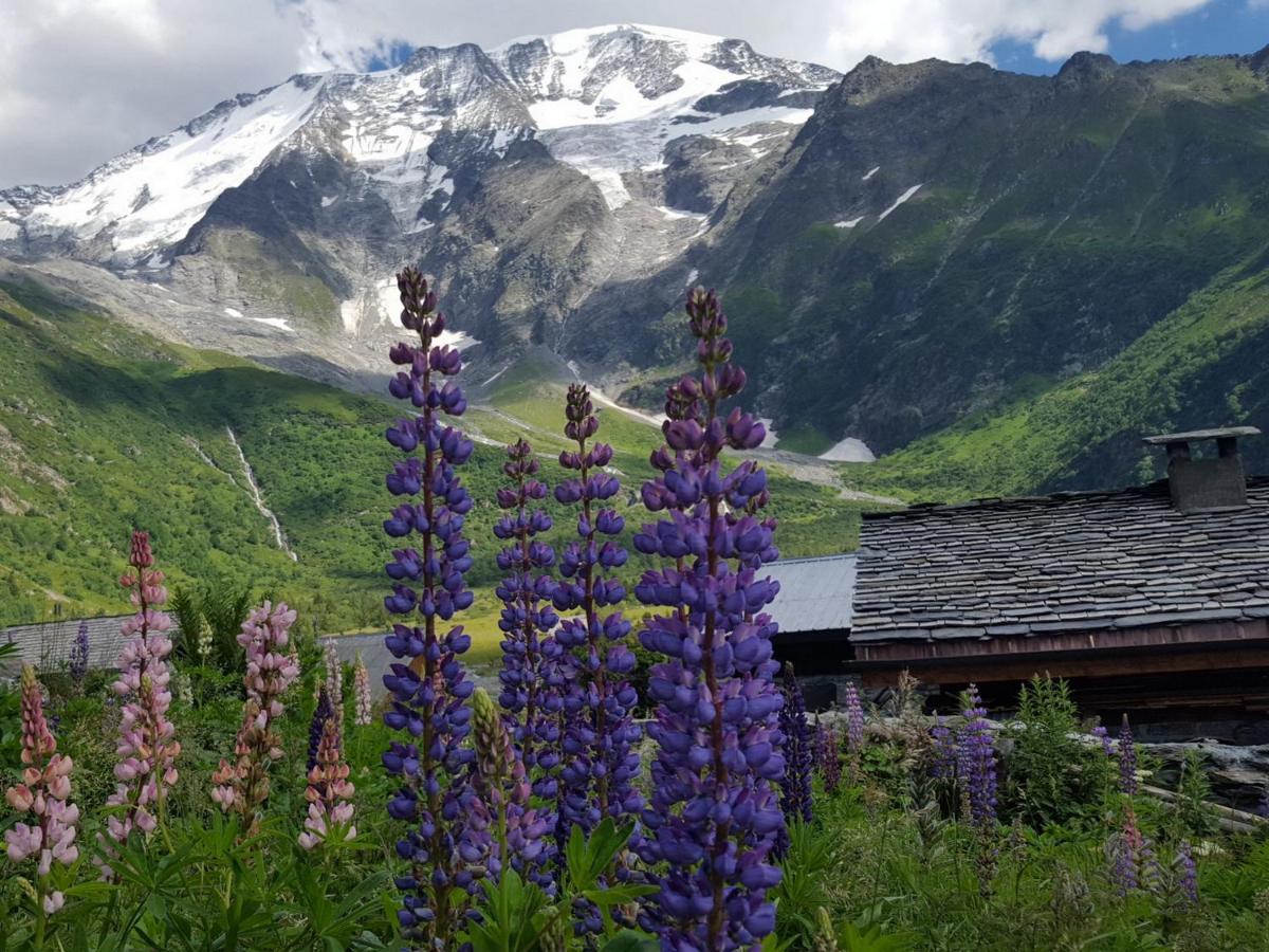 Apartament Duo Des Alpages Vue Exceptionnelle Sur Le Mont Blc Saint-Gervais-les-Bains Zewnętrze zdjęcie