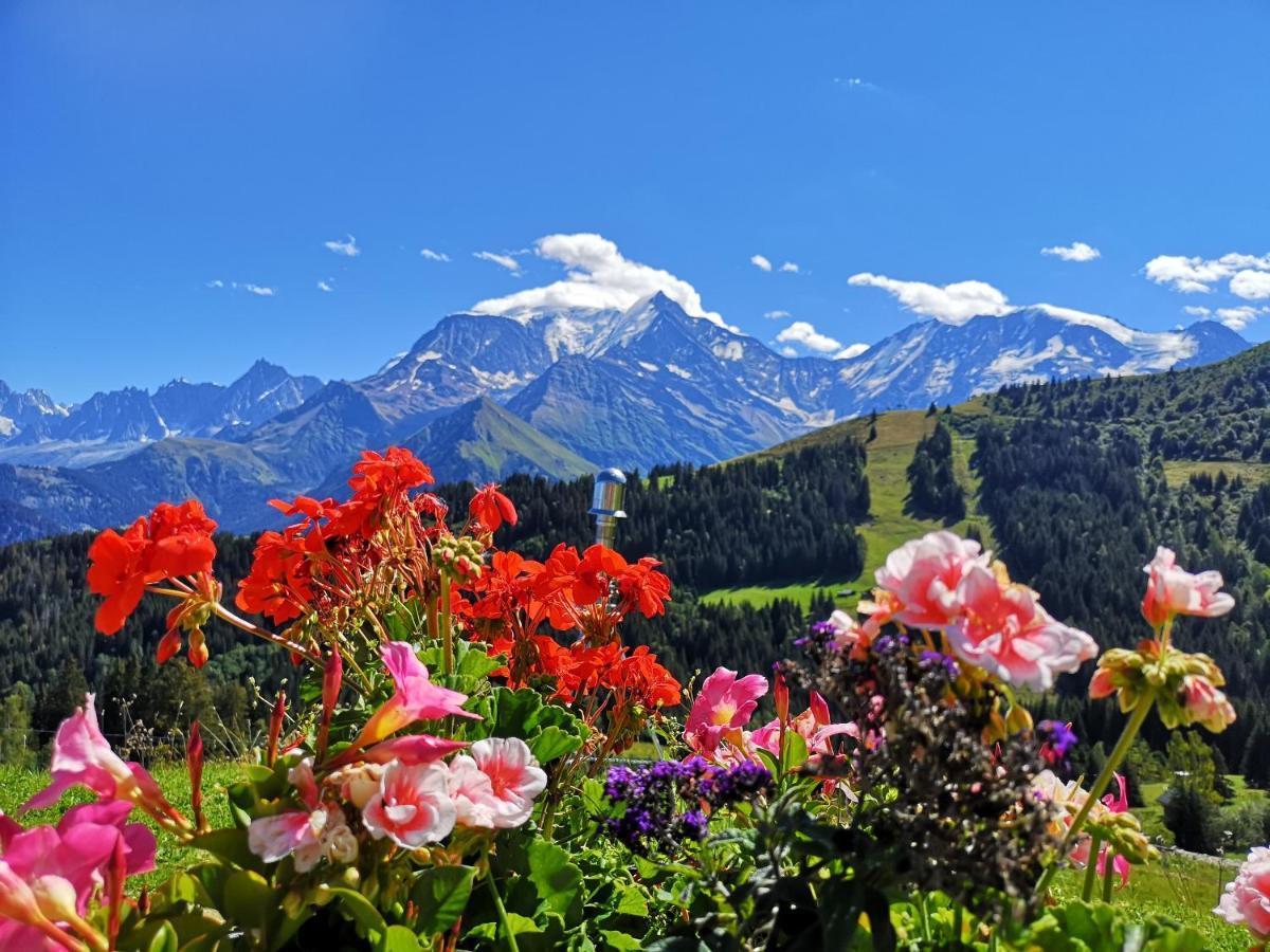 Apartament Duo Des Alpages Vue Exceptionnelle Sur Le Mont Blc Saint-Gervais-les-Bains Zewnętrze zdjęcie