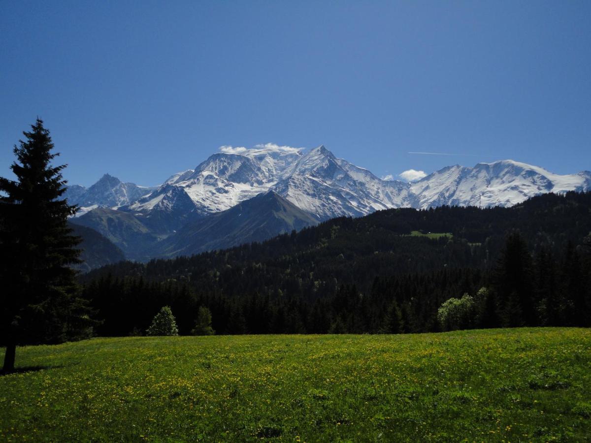 Apartament Duo Des Alpages Vue Exceptionnelle Sur Le Mont Blc Saint-Gervais-les-Bains Zewnętrze zdjęcie