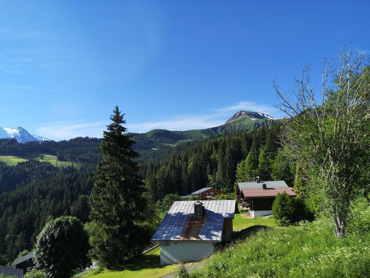 Apartament Duo Des Alpages Vue Exceptionnelle Sur Le Mont Blc Saint-Gervais-les-Bains Zewnętrze zdjęcie