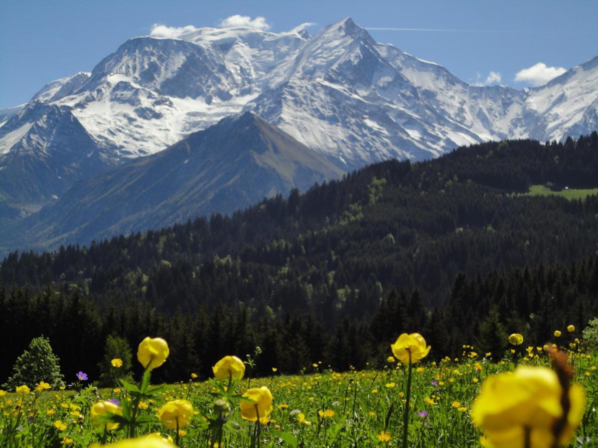Apartament Duo Des Alpages Vue Exceptionnelle Sur Le Mont Blc Saint-Gervais-les-Bains Zewnętrze zdjęcie
